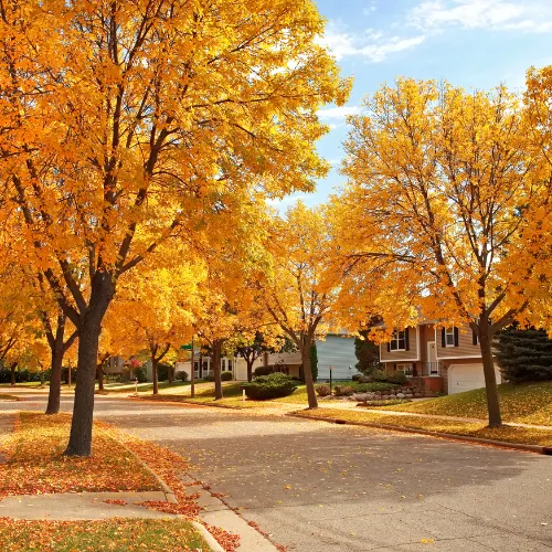 A Colorado neighborhood in the fall